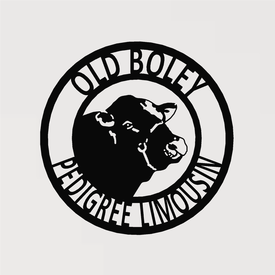 Limousin Head | Metal Wall Art