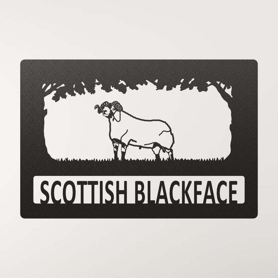 Scottish Blackface Sheep | Metal Farm Sign